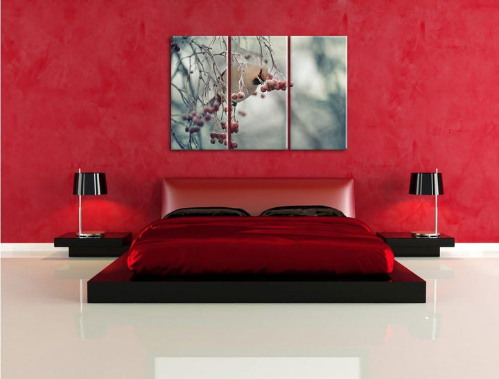 Pixxprint Kleiner Vogel im Vogelbeerbaum als Leinwandbild/Grösse: 3 Teilig (120x80 cm) cm/Wandbild/K