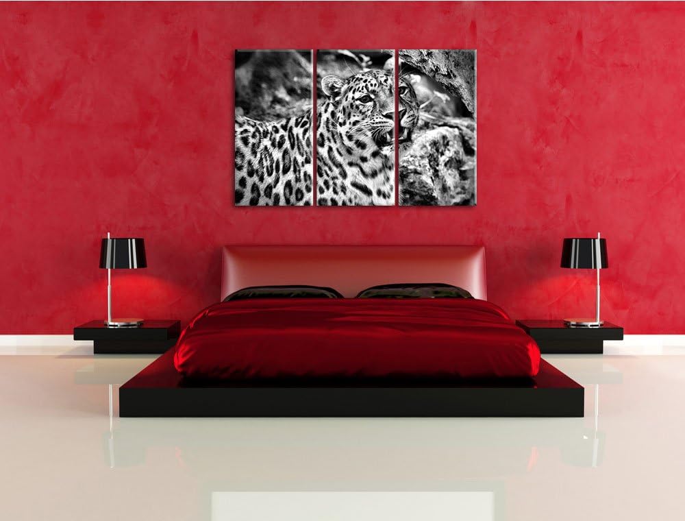 Pixxprint prachtvoller Leopard als Leinwandbild/Grösse: 3 Teilig (120x80) cm/Wandbild/Kunstdruck/fer