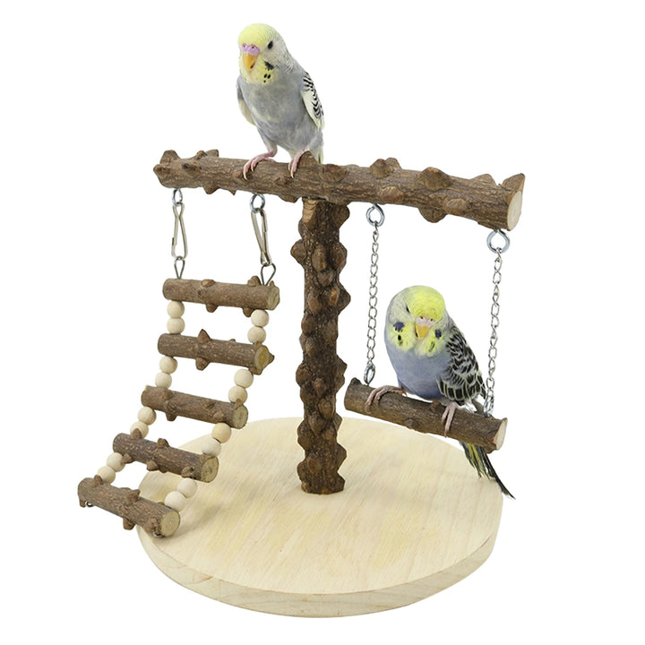 Wellensittich Spielplatz, Vogel Spielplatz Holz mit Spielzeug Leiter Erklimmen Schaukel, Vogel Sitzs