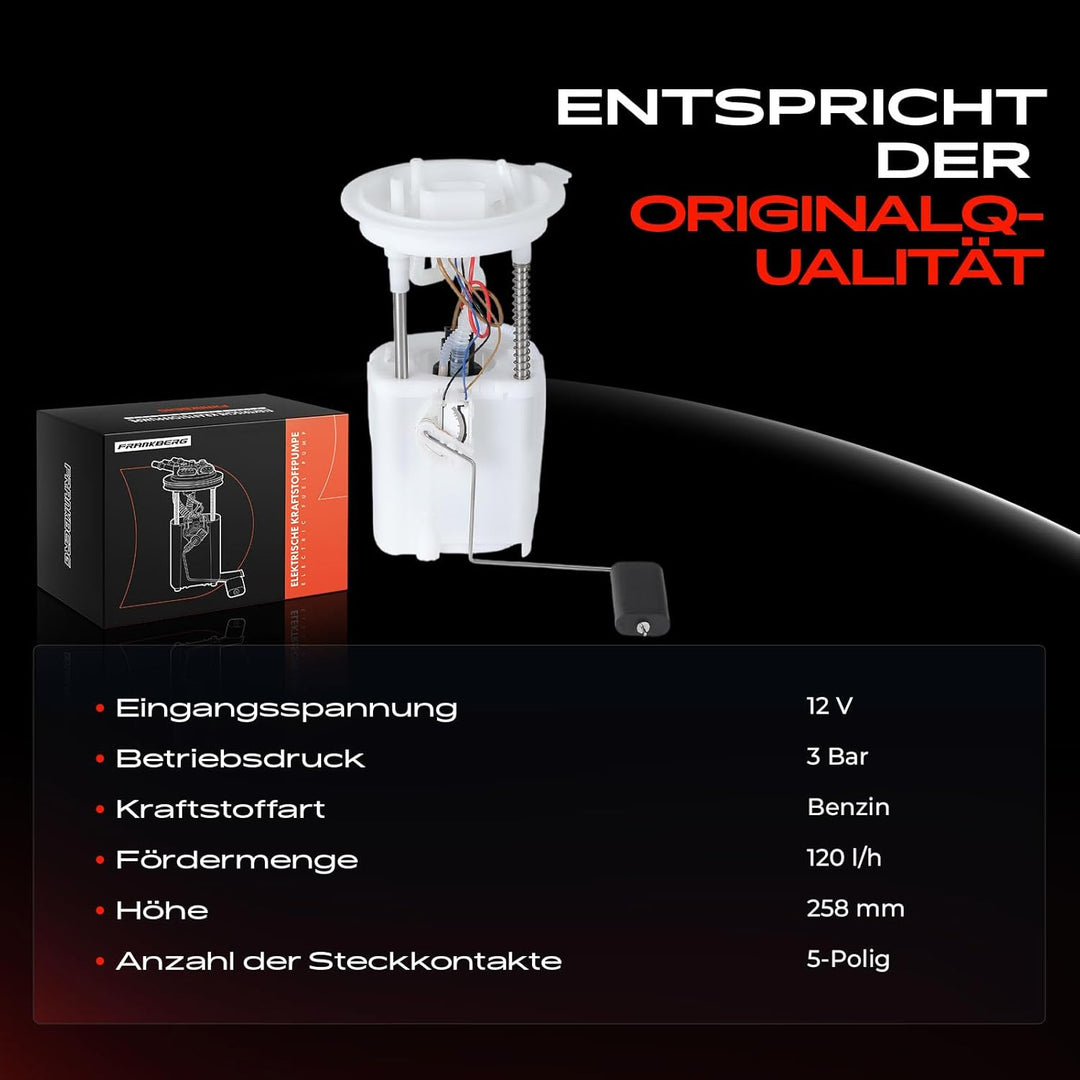 Frankberg Kraftstoffpumpe Benzinpumpe Kompatibel mit A3 Altea Leon Toledo III Octavia II Golf Plus G