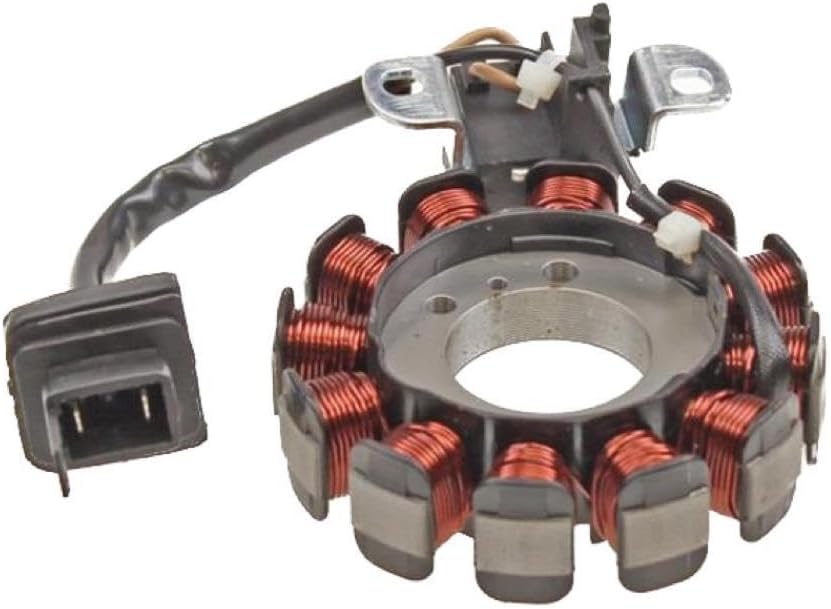 Lichtmaschine Zündung für Aprilia Scarabeo Sport City, Derbi Atlantis, Italjet Jet Set, Piaggio Fly