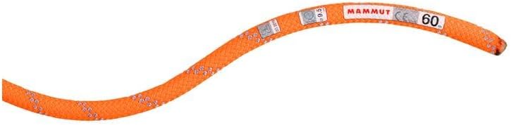Mammut Seil 9.5 Alpine Dry Kletterseil Dry - Safety Orange/Zen Lg 40, Dry - Safety Orange/Zen Lg 40