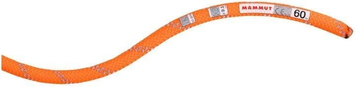 Mammut Seil 9.5 Alpine Dry Kletterseil Dry - Safety Orange/Zen Lg 40, Dry - Safety Orange/Zen Lg 40