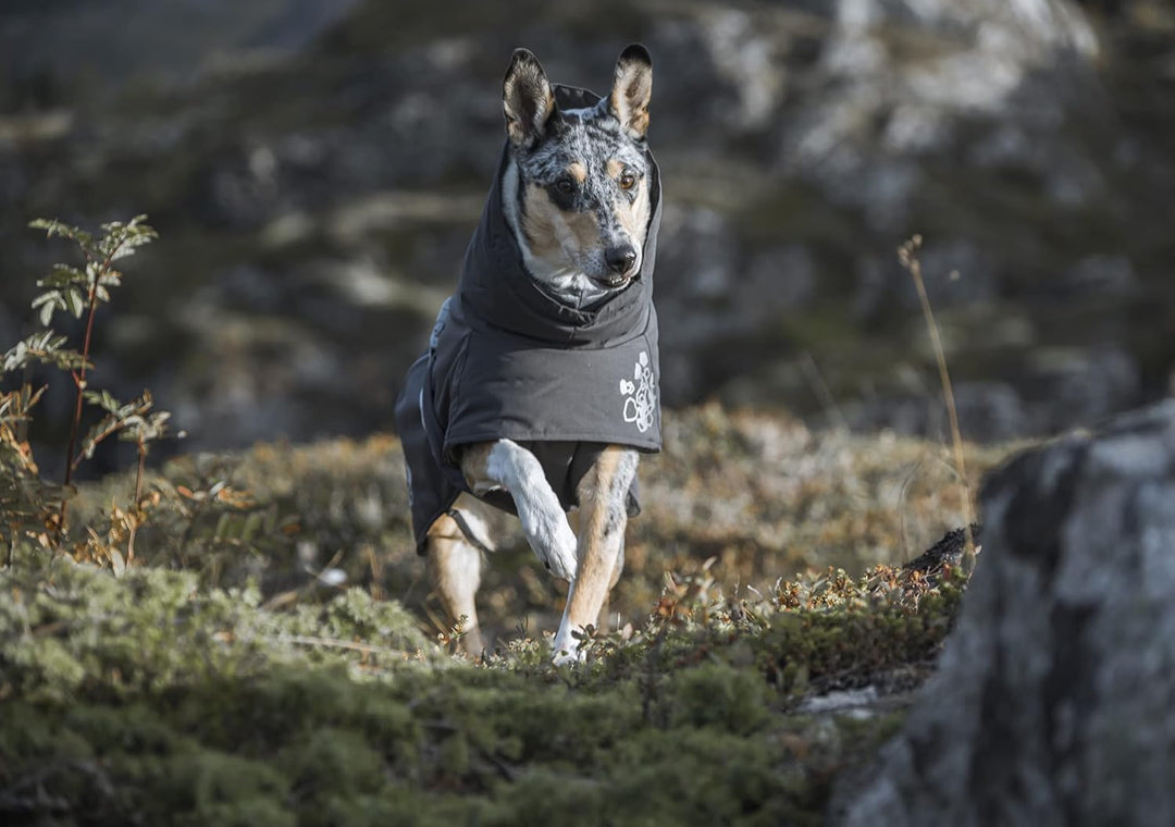 Hurtta Extreme Warmer Hundemantel, Granit grau 26 in, grau 26 in