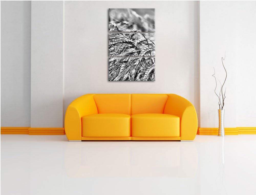 Pixxprint Goldene Getreide Ären als Leinwandbild | Grösse: 3 Teilig (120x80) | Wandbild| Kunstdruck