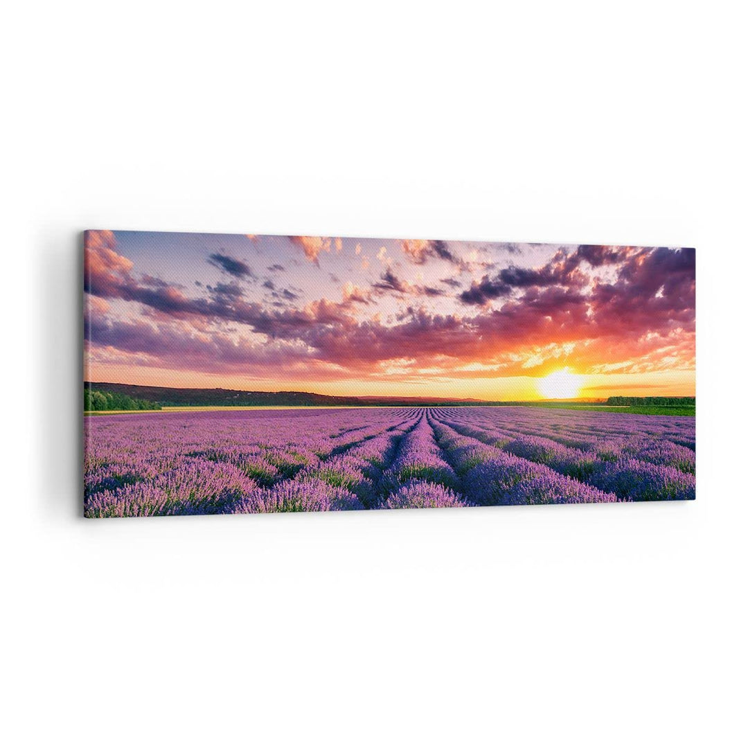 Wandbilder Dekoration Wohnzimmer Lavendel Berge Feld Panorama Bilder auf Leinwand 120x50cm Leinwandb