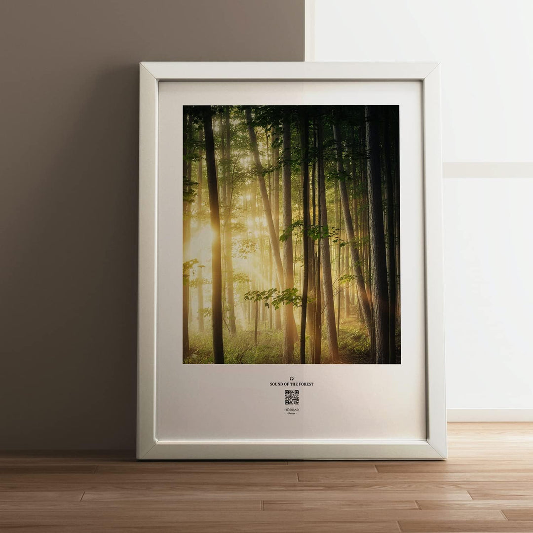 VALINA HÖRBAR RELAX | Hörbild | SOUND OF THE FOREST | Magic mood | Im Rahmen Weisser Rahmen 32,5cm 4