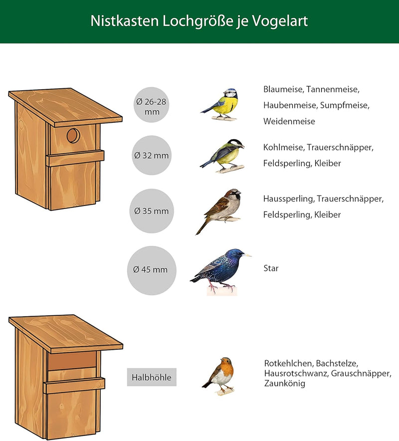 Dehner Natura Wildvogel-Nistkasten Birga, ca. 16 x 32.5 x 20.5 cm, aus FSC® - zertifiziertem Kiefern