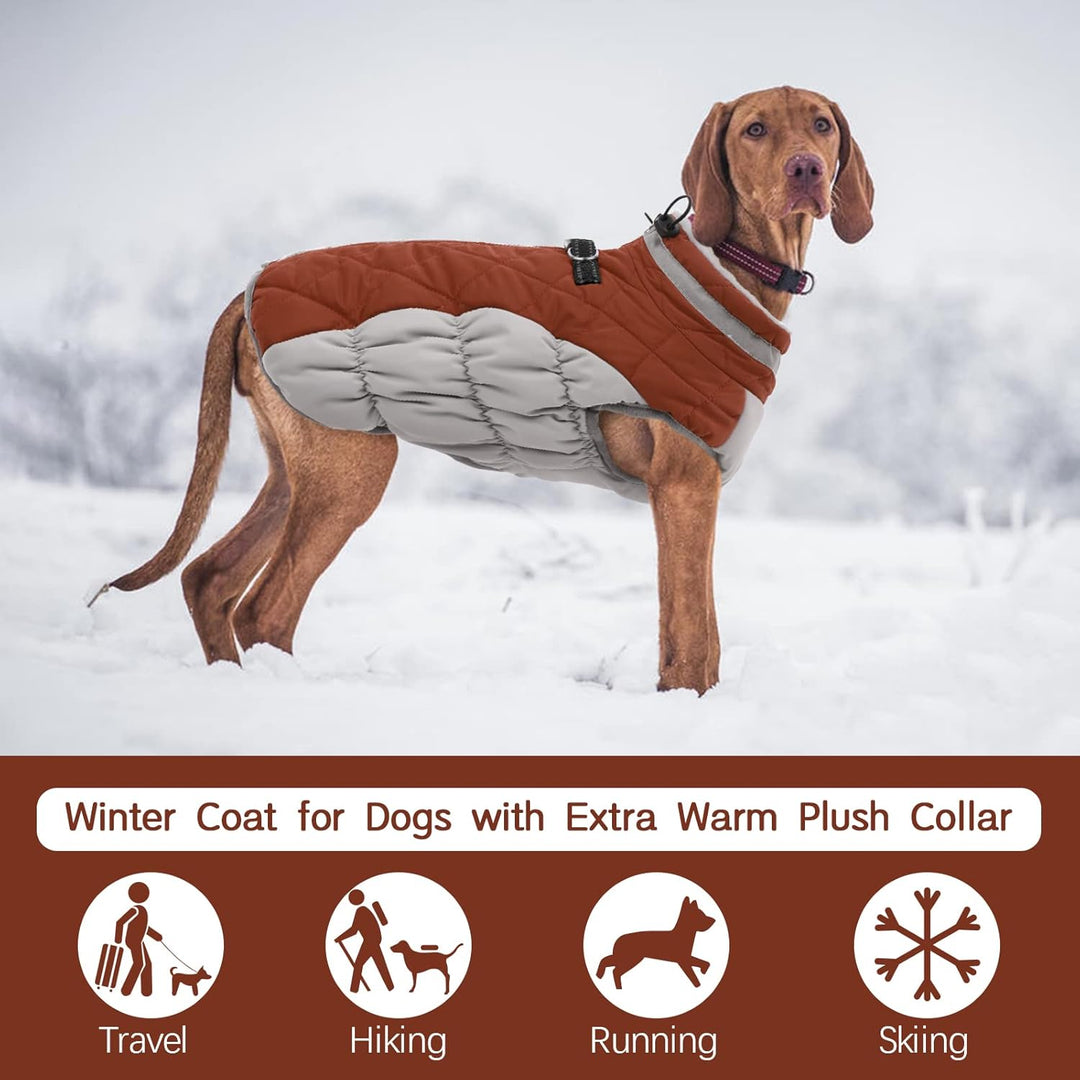 Kuoser Hundejacke Wintermantel für Mittelgrosse Hunde - Wasserdichte Winterweste Mit Geschirr - Warm