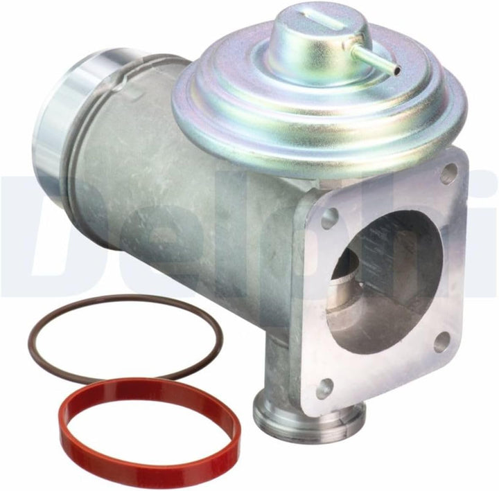 Delphi EG10466-12B1 - AGR-Ventil