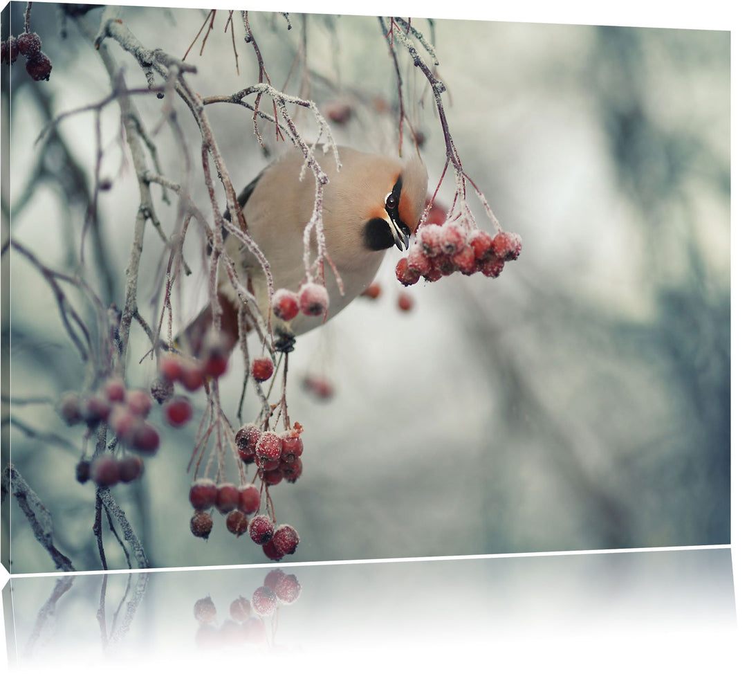 Pixxprint Kleiner Vogel im Vogelbeerbaum, Format: 100x70 auf Leinwand, 100x70
