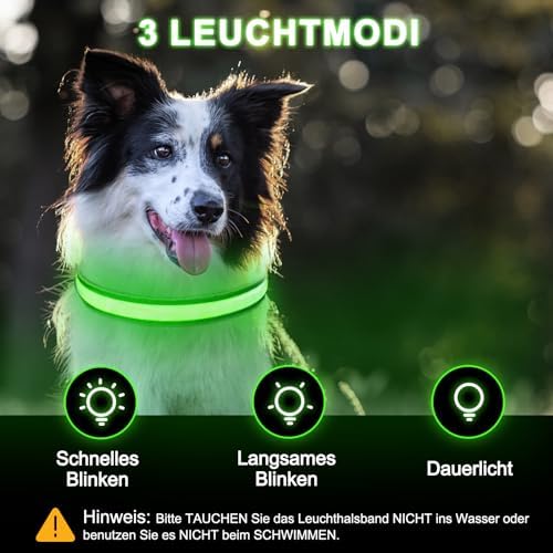Nepfaivy Hundetreppe für Kleine Hunde 3-Stufig, Leuchthalsband Hund USB Aufladbar