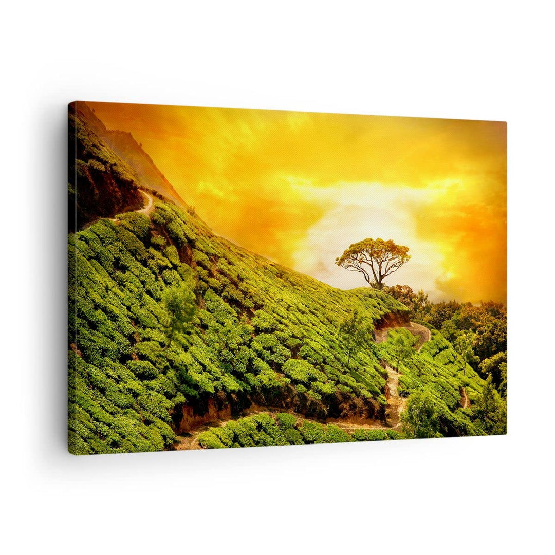 Bilder auf Leinwand Berg Baum Pfad Hügel Leinwandbild mit Rahmen 70x50cm Wandbilder Dekoration Wohnz