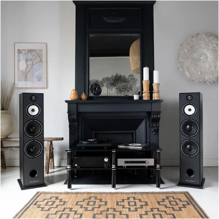 TRIANGLE - BOREA BR10 Hi-Fi Standlautsprecher - Belastbarkeit 200W - Leistung 92 dB/W/m - 21 cm Laut