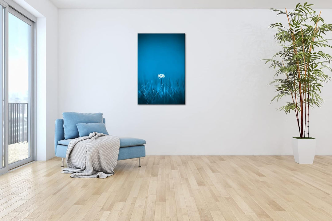 deyoli einzelnes Gänseblümchen Format 100x70 Effekt: Monocrome Blau als Leinwandbild, Motiv fertig g
