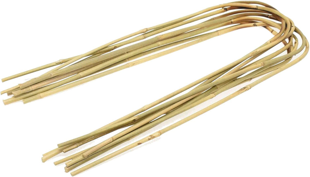 DIXIE STORE Gebogener Bambus Bambusstifte Natürliche - für Pflanzen Dekoratives Element Rankhilfe Cl