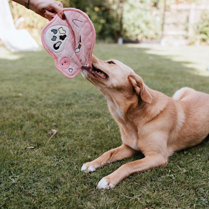 HUNTER Hundespielzeug Koloa Grösse 24 cm, Farbe Shakespear, Shakespear
