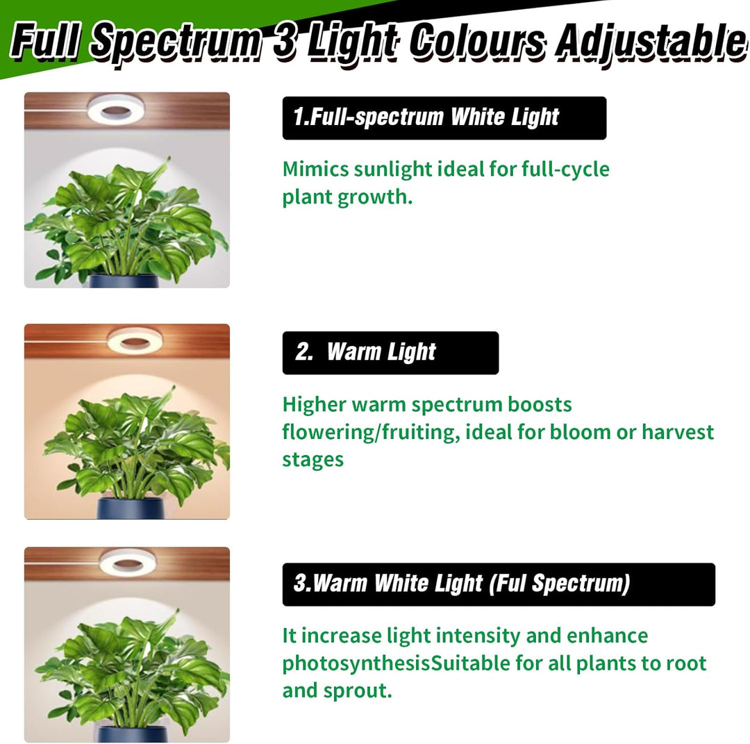 4 Stück Pflanzenlampe Led Vollspektrum, Pflanzenlicht mit Auto Timer 3 Farben 10 Helligkeiten, LED P
