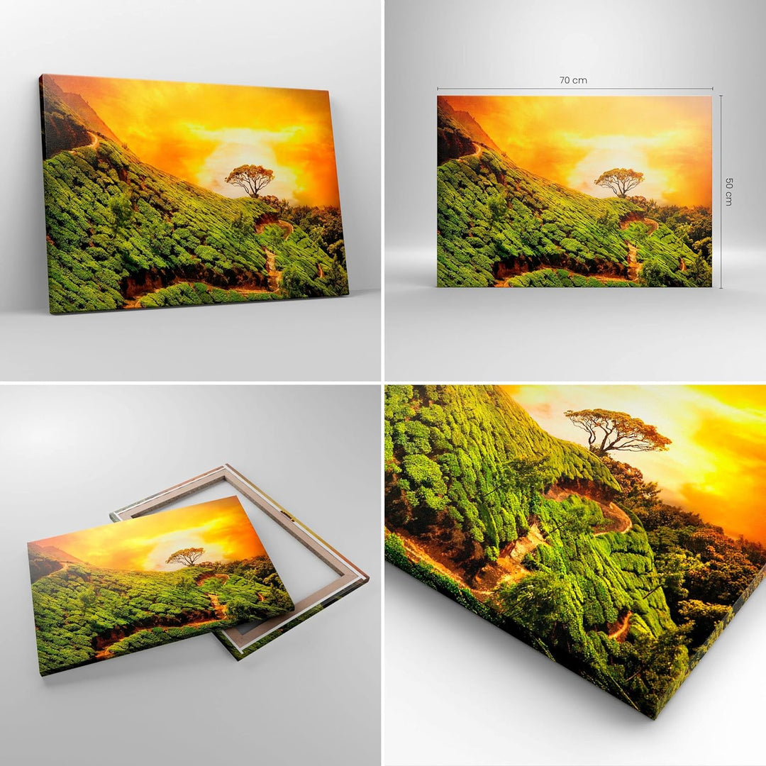 Bilder auf Leinwand Berg Baum Pfad Hügel Leinwandbild mit Rahmen 70x50cm Wandbilder Dekoration Wohnz