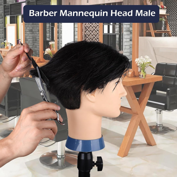 DaizySight Mann Frisierkopf 100% Echthaar, Frisurenkopf Männlicher Haarschnitt Übungskopf mit Haar,