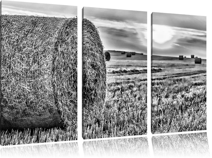 Pixxprint Monocrome, Strohballen auf Feld 3-Teiler Leinwandbild 120x80 Bild auf Leinwand