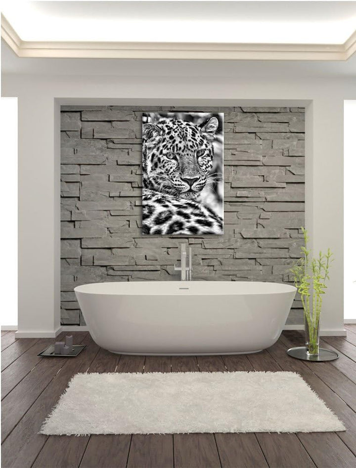 Pixxprint Monocrome, aufmerksamer Leopard im Schatten, Format: 100x70 auf Leinwand, XXL riesige Bild