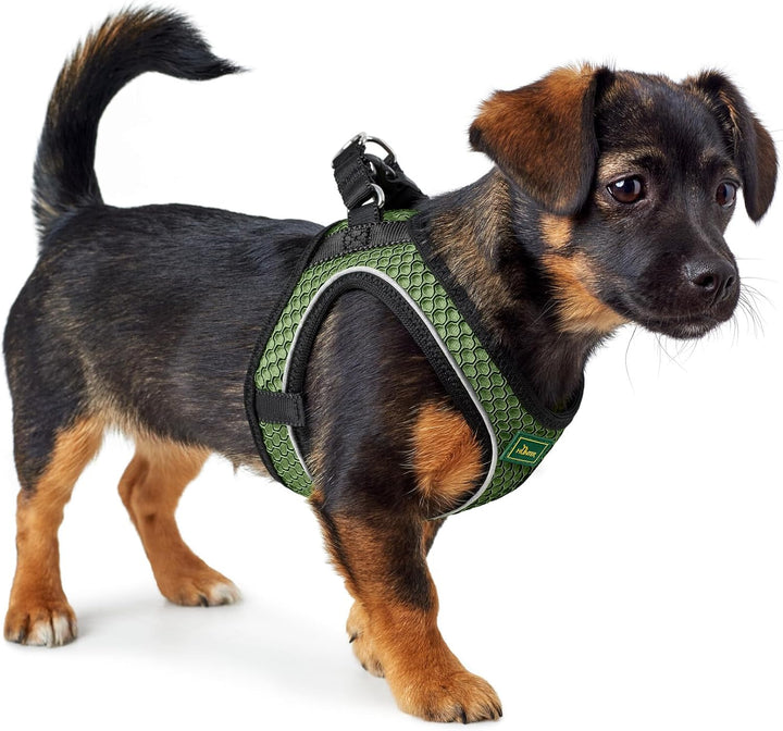 Hunter Hundegeschirr Hilo Comfort, Farbe: lindgrün, Easy Step-In Geschirr für kleine bis mittlere Hu