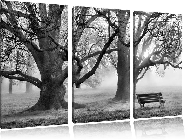 Pixxprint Monocrome, Baum und Bank im Nebel 3-Teiler Leinwandbild 120x80 Bild auf Leinwand