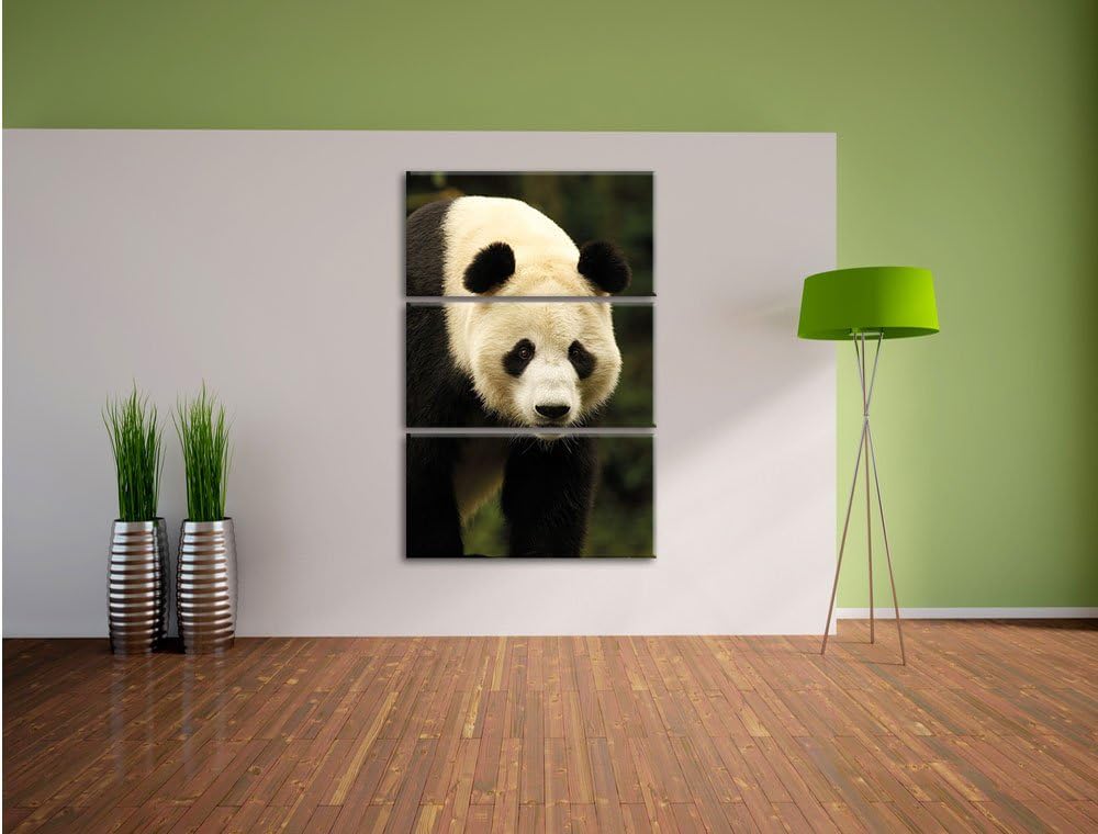 Pixxprint Leuchtturm mit Robben als Leinwandbild/Grösse: 3 Teilig (120x80) / Wandbild/Kunstdruck/fer