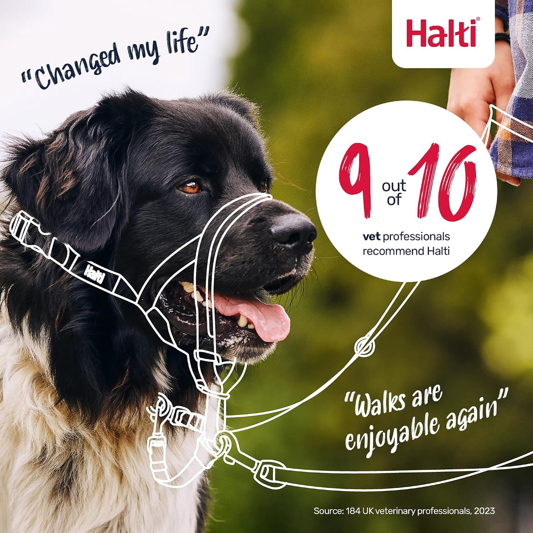 Halti Kopfgeschirr für Hunde | Grösse 1, Lila | Verhindert, dass Ihr Hund an der Leine zieht, Einste