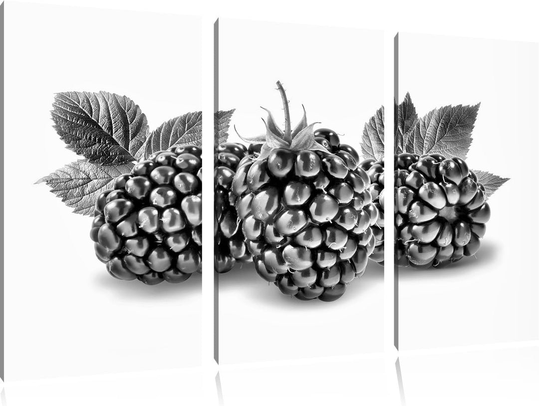 Pixxprint Leckere Brombeeren als Leinwandbild | Grösse: 3 Teilig (120x80) | Wandbild| Kunstdruck | f