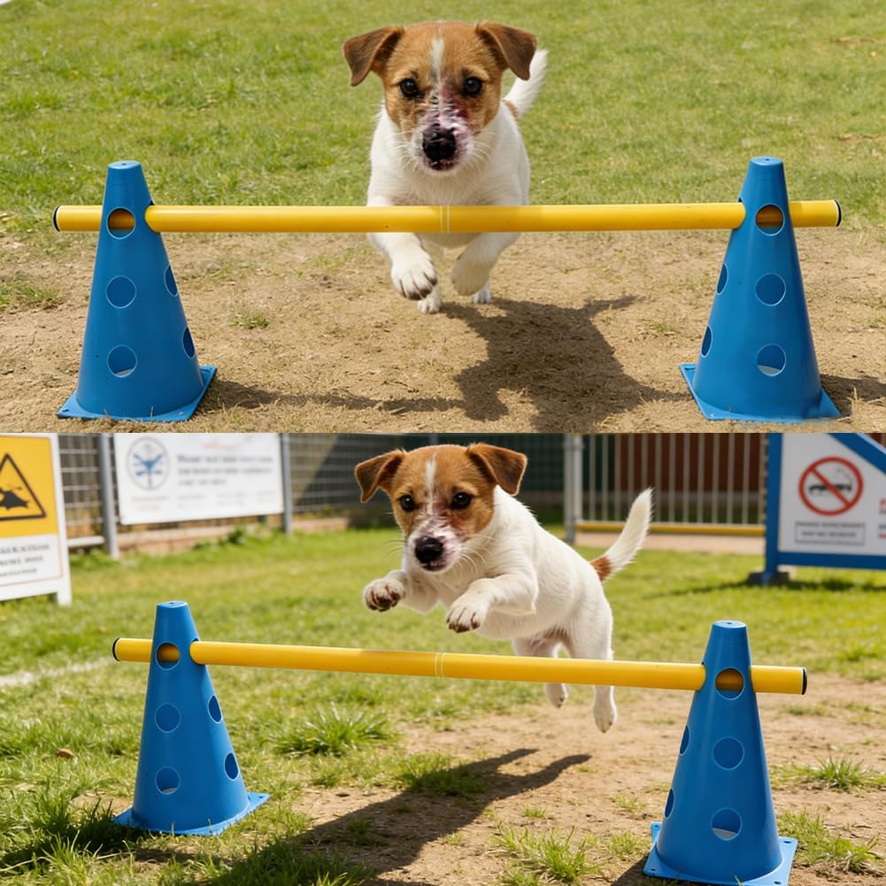 FARYODI Sports Steckhürdenset, Agility Set Hunde, Hindernisse Hobby Horsing, Hunde Sport, Cavaletti