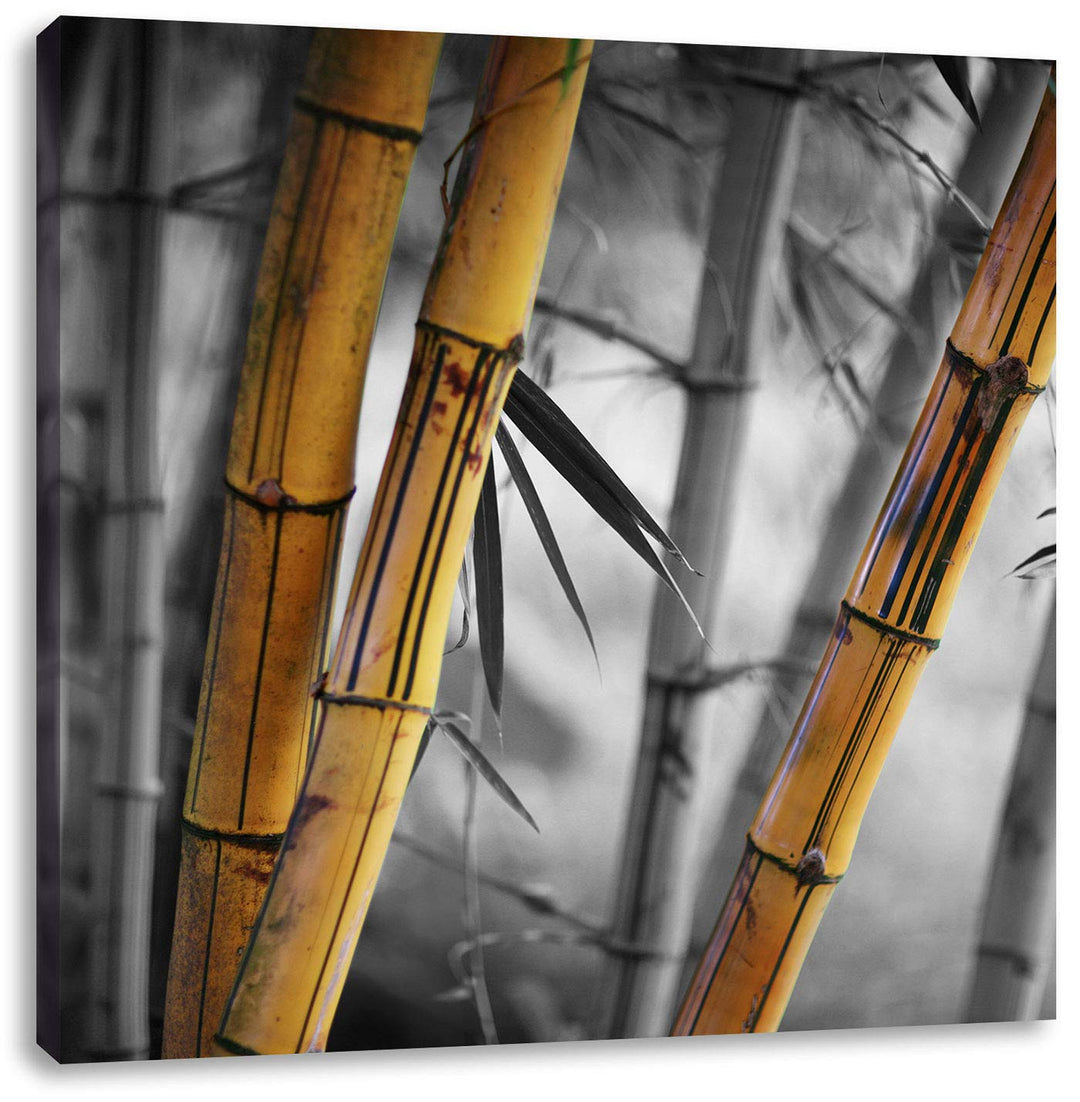 Pixxprint Alter rustikaler Bambus als Leinwandbild Quadratisch/Grösse: 70x70 / Wandbild/Kunstdruck/f