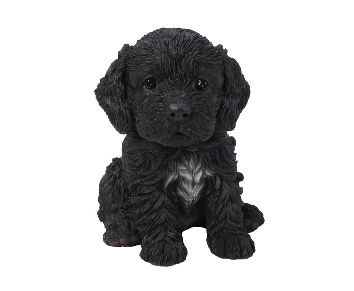 Hi-Line Gift Ltd. Figur sitzender Cockapoo-Welpe Pet Pals Cockapoo-welpe, Sitzend, Pet Pals Cockapoo