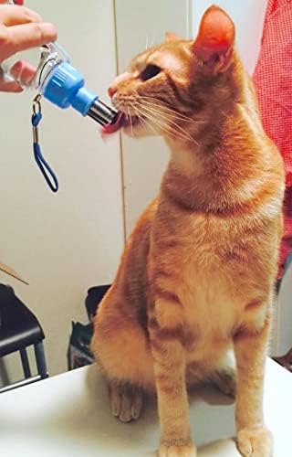 Choco Nose H258 Moderne tragbare Wasserflasche für Haustiere, Kleiner Hund (bis zu 30 kg), Katze, Ka