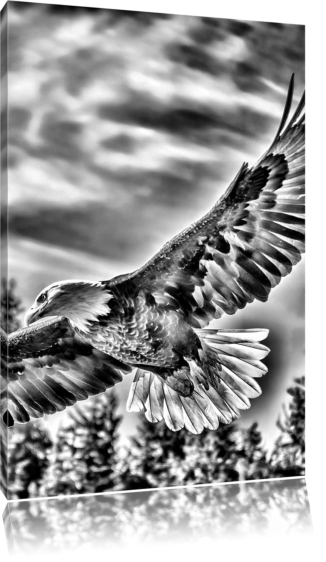 Monocrome, Adler, Format: 100x70 auf Leinwand, XXL riesige Bilder fertig gerahmt mit Keilrahmen, Kun