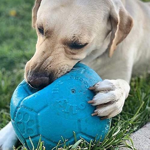Jolly Pets,Hund - Fussball - Meerblau - 20 cm - 1 Stück, Multi, Large/X-Large, SB08 Ocean Large / X