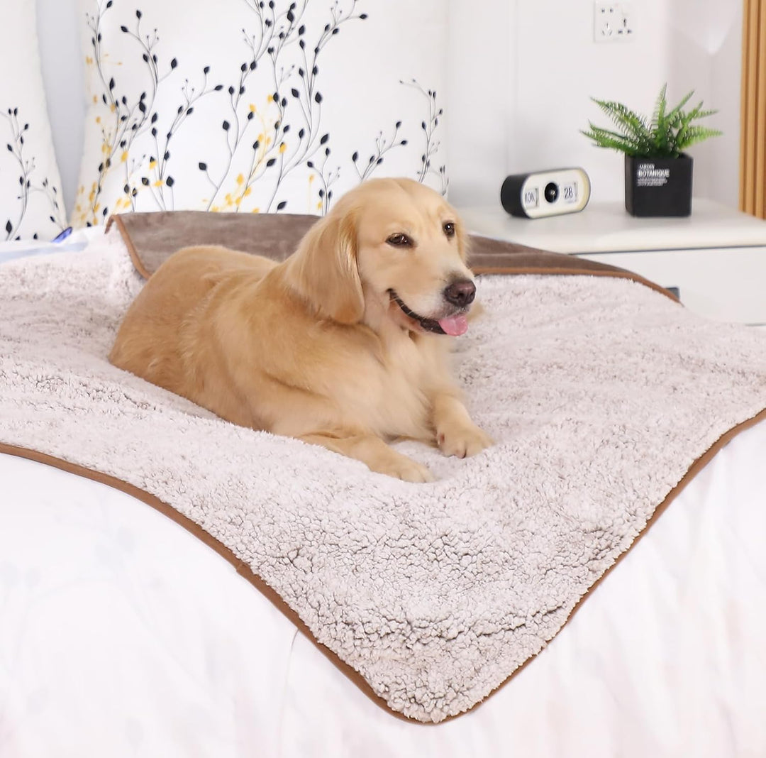PETTOM Hundedecke Wasserdicht, Hundedecke Flauschig aus Sherpa Fleece, Hunde Decke Sofaschutz, Katze