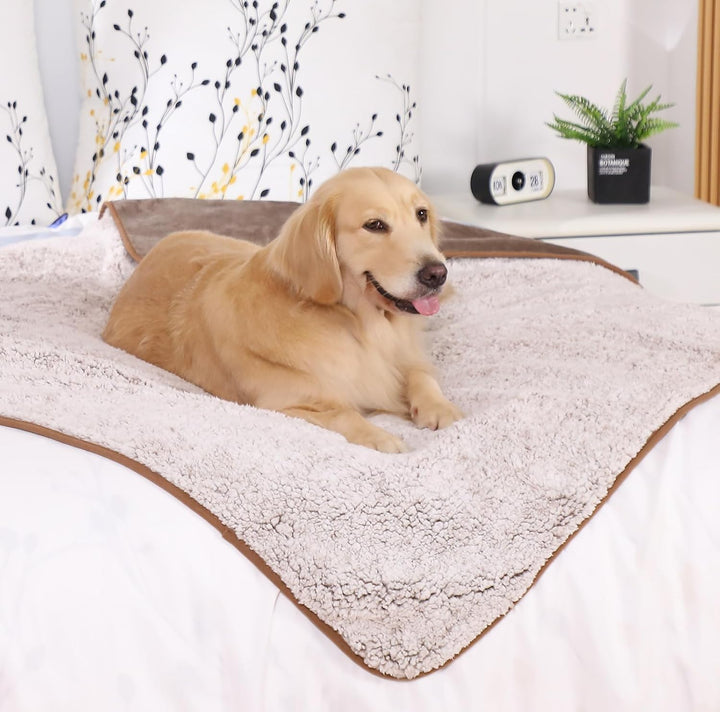 PETTOM Hundedecke Wasserdicht, Hundedecke Flauschig aus Sherpa Fleece, Hunde Decke Sofaschutz, Katze