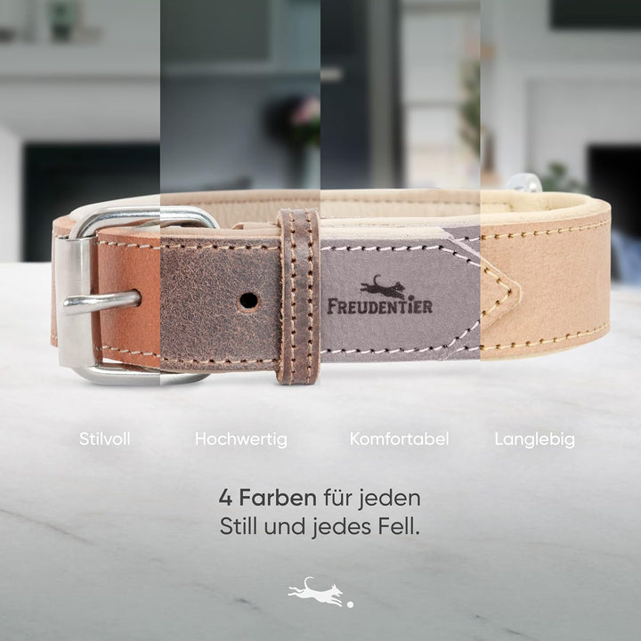 FREUDENTIER Hundehalsband Leder - weich gepolstert - Handmade in EU | Leder aus LWG Gold zertifizier