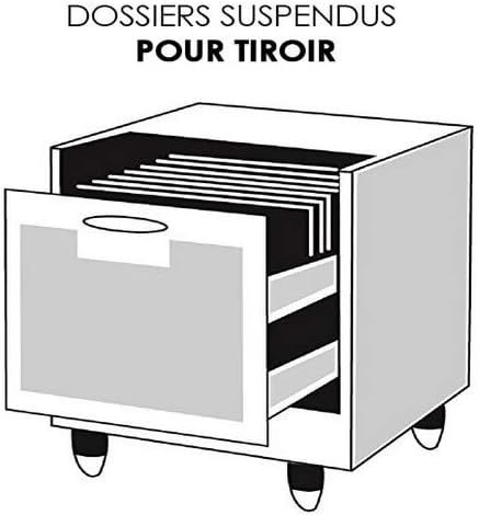 Dossiers suspendus(lot of 10)