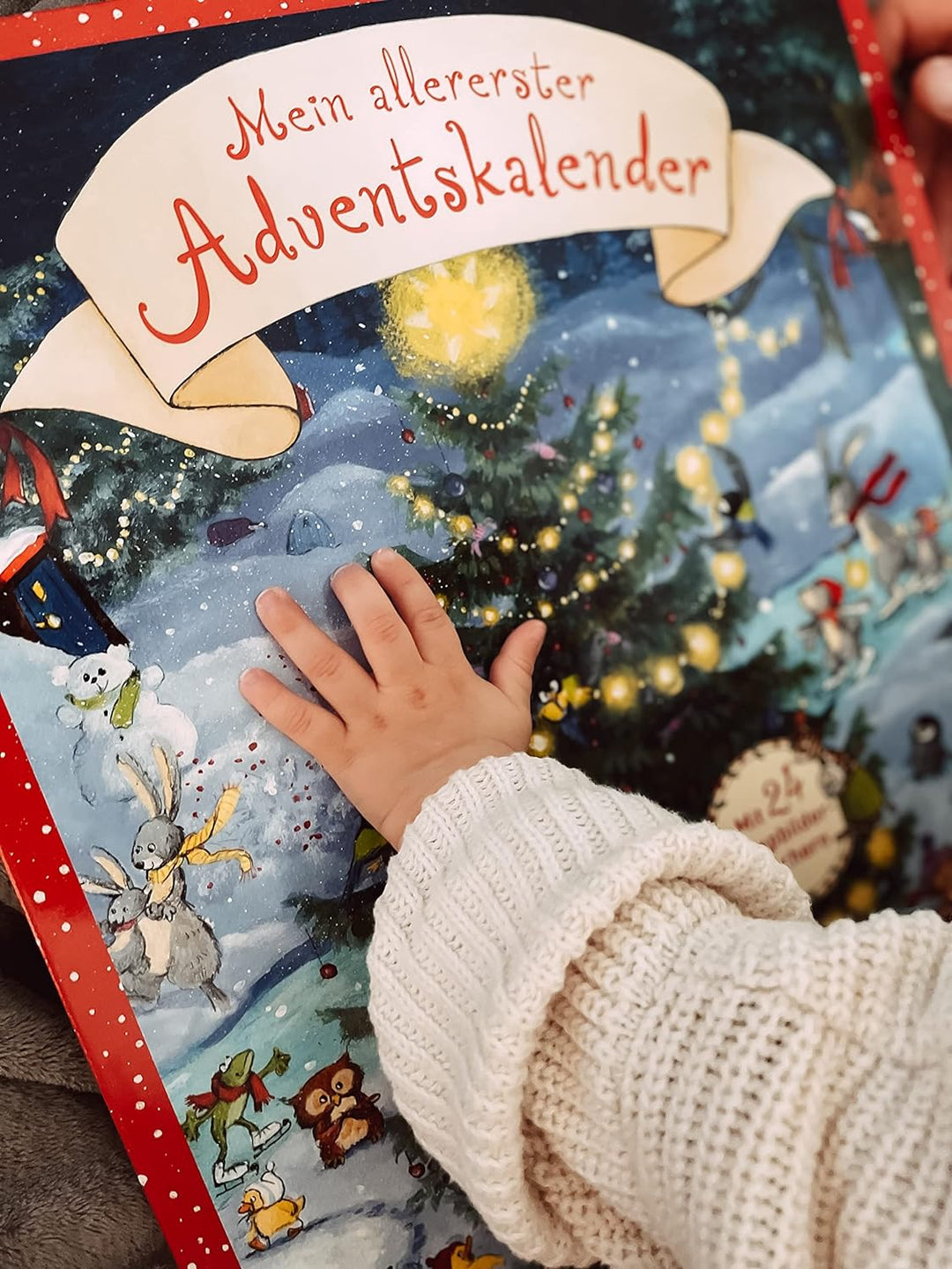 Mein allererster Adventskalender: mit 24 Pappbilderbüchern zum Herausnehmen