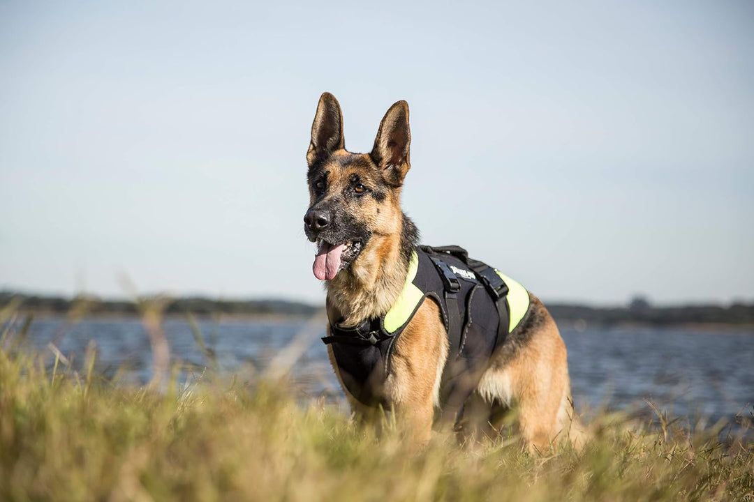Julius-K9, IDC Multifunktionale Hundeweste 3in1, Grösse: XL, Schwarz und Neon XL Schwarz und UV Oran