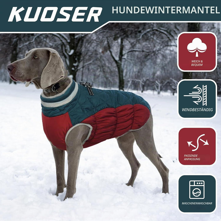 Kuoser Wärme hundemantel, Winddicht hundejacke, Reflektierend hundemantel für kleine Hunde, hundeman
