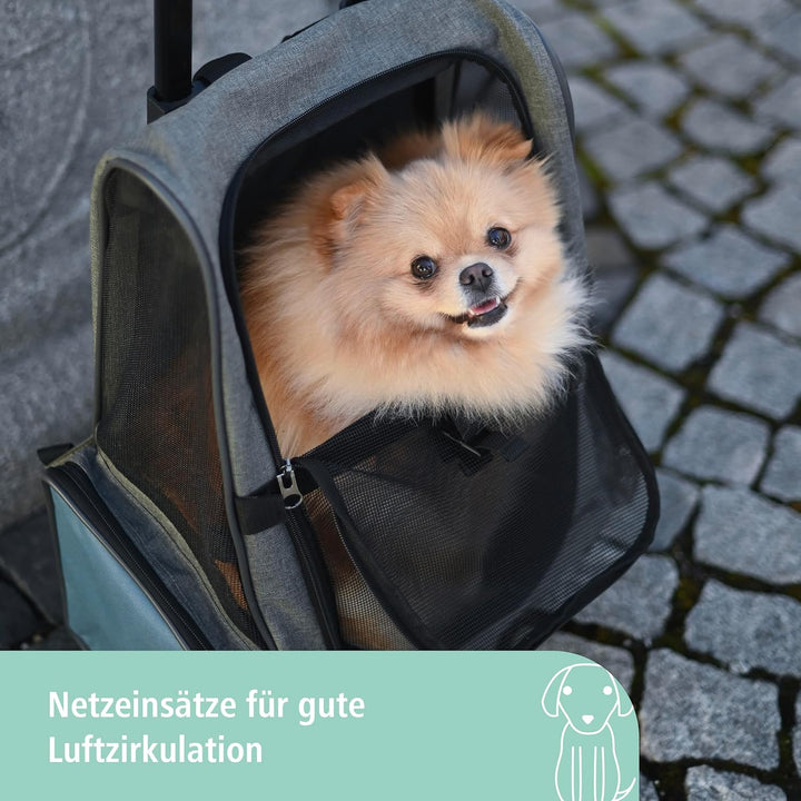 Trolley Vacation 41x26x55/103cm, grau/blau