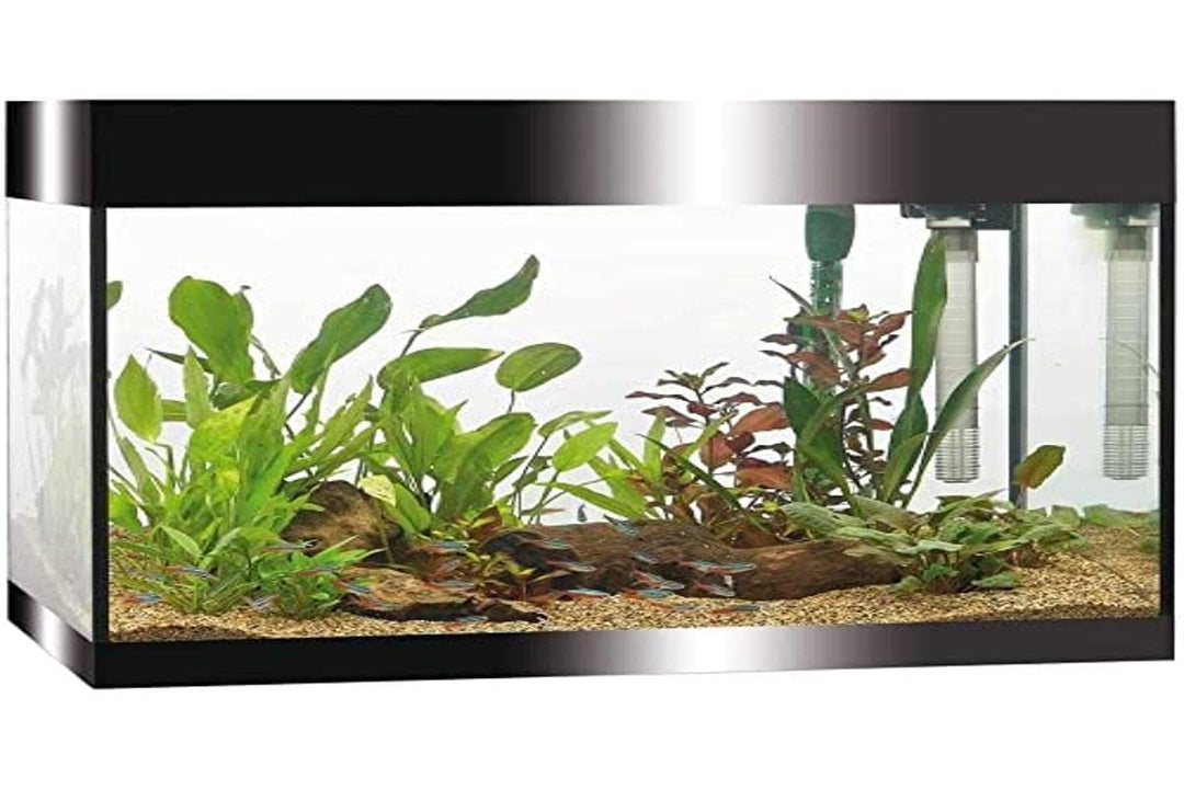 Askoll Aa350050 Pure Acquarium Kit schwarz LED 68 Liter - Filter - Heizung - Timer LED Beleuchtung,