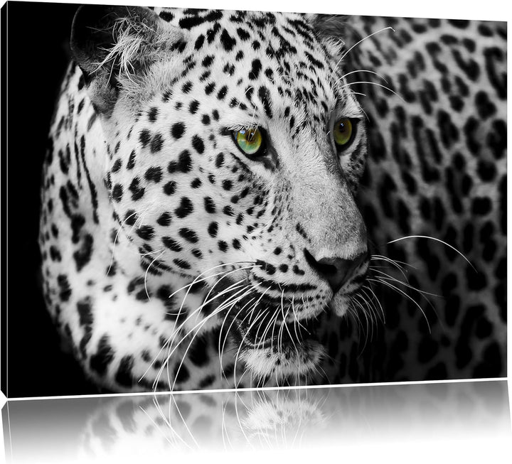 Dark Leopard mit grünen Augen schwarz/weiss Format: 100x70 auf Leinwand, XXL riesige Bilder fertig g