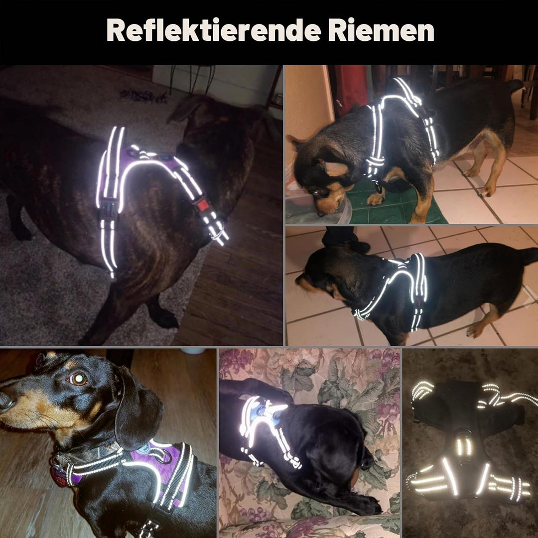 PHOEPET Hundegeschirre ohne Ziehen für kleine Hunde, reflektierende, verstellbare Front-Clip-Weste m