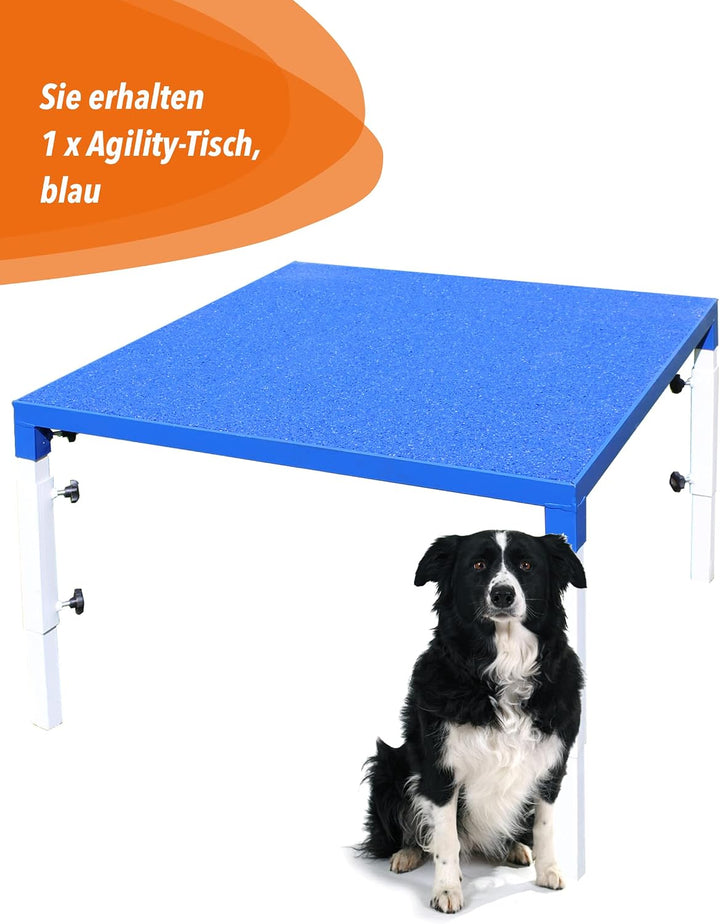 Agility-Tisch für Hunde – FCI-konform &amp; höhenverstellbar – rutschsicher &amp; robust – 90×90cm – blau