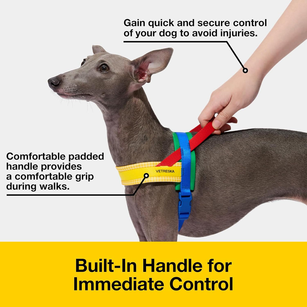 VETRESKA No Pull Hundegeschirr für kleine Hunde, Easy Walk Hundegeschirr und Leine Set, Welpengeschi
